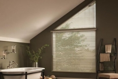 NON STANDARD venetian blinds1